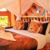 Отель Amanya 1 -bed King Lion Tent, фото 4