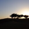 Отель Registan Desert Safari Camps, фото 19