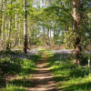 Отель Hollicarrs Long Lane Lodge, фото 20