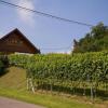 Отель Weinhof Gästehaus Radl, фото 24