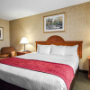 Отель Quality Inn & Suites Rockport - Owensboro North, фото 34