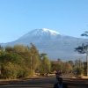 Отель Kilimanjaro Homes And Camps, фото 16