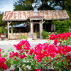 Отель Gruene Mansion Inn Bed and Breakfast, фото 7