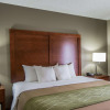 Отель Comfort Inn & Suites At Dollywood Lane, фото 3