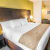 Отель Comfort Suites Miami Airport North, фото 3