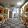 Отель Star Capsule Okinawa, фото 12