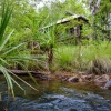 Отель El Questro Emma Gorge, фото 10