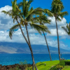 Отель Kihei Surfside #102 1 Bedroom Condo by RedAwning, фото 34