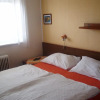 Отель Pension Sparta, фото 4