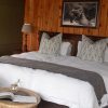 Отель Barefoot Addo Elephant Lodge, фото 3