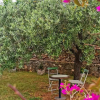 Отель Garden - sea View - A1, фото 12