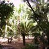 Отель Appart avec vue Jardin-Majorelle, фото 11