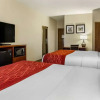 Отель Comfort Inn Lancaster - Rockvale Outlets, фото 44