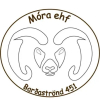 Отель Móra Guesthouse, фото 15
