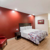 Отель Red Roof Inn Houston - Willowbrook, фото 12
