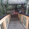 Отель Colo I Suva Rainforest Eco Resort, фото 44