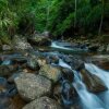 Отель Ramboda Falls Hotel, фото 30