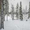 Отель Seitsem n Savua 6 Kuusamo, фото 15