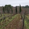 Отель Château de Rouffiac Chambres d'hôtes Vignoble de Cahors, фото 10