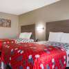 Отель Econo Lodge, фото 3