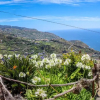 Отель Casas Tipicas Candelaria Tabua, фото 8
