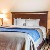 Отель Comfort Inn & Suites, фото 6