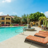 Отель Executive 3 BR King, Close to Kierland & TPC w Parking 1025, фото 17