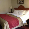 Отель Quality Inn, фото 3