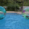 Отель Celebrity Resort Coimbatore, фото 13