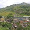 Отель Uyami's Green View Lodge, фото 4