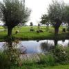 Отель B&B Heerlijkheyd, фото 11