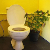 Отель Dorm Des Fleurs Hostel, фото 9
