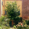 Отель 3749 Ponte Chiodo Guest House, фото 1