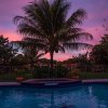 Отель Dolphin Retreat Villa - East Boca Raton, фото 29