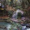 Гостиница Villy Uley Sochi (Вили Улей Сочи), фото 8
