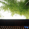 Отель West Time Hot Spring Hostel, фото 11