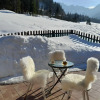 Отель Secluded Apartment in Ferlach near Bodental Ski Lift, фото 4