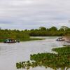 Отель Pousada Rio Claro, фото 48