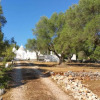 Отель Ostuni, Trullo Laveneziana, Con Piscina, Max 9 Letto, фото 16