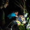 Отель Tortuguero Adventures GuestHouse, фото 15
