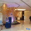 Отель Conlai Hotel, фото 12