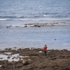 Отель Rockpool, фото 11