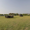 Отель Treebo Kaira Resort With Pool View, 5 Km From Jim Corbett Jungle Safari, фото 22