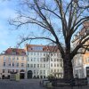 Отель Sanders Old Square - Chic 1-bdr Apt Near Stroget, фото 7