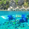 Отель El Nido Resorts Lagen Island, фото 8