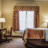 Отель Comfort Inn & Suites Farmington - Victor, фото 34