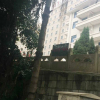 Отель Nanning Yongzhou Hotel, фото 19