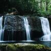 Отель Tentrr - A Creek Runs Through It, фото 8