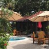 Отель Marbucks Bed and Breakfast, фото 14