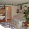 Отель Pinewood Guesthouse, фото 3